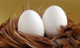 Những thực phẩm tưởng bổ nhưng cực kỳ có hại cho trẻ dưới 1 tuổi