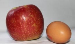 Một quả trứng và tác dụng giảm mỡ bụng trông thấy