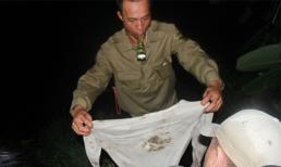 Hàng trăm người xuyên đêm lùng nghi phạm giết 4 bà cháu