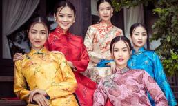 Người đẹp Hoa hậu Việt Nam hội tụ trong bộ ảnh áo dài thướt tha