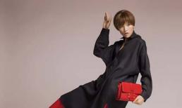 Quý cô Chà Mi sành điệu khi để tóc ngắn