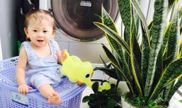Con gái Trang Trần xinh như búp bê khi tưới cây giúp mẹ
