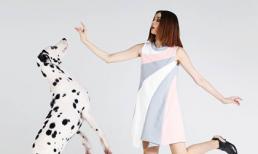 Hoàng Oanh Next Top chơi đùa với thú cưng