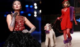 Ngọc Hân làm vedette, Chi Pu dắt cún cưng lên sàn catwalk