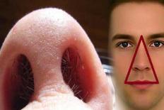 Dừng ngay việc nhổ lông mũi vì lý do quan trọng tới tính mạng