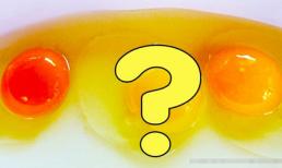 Trước khi ăn trứng nhất định phải chú ý đến màu sắc của lòng đỏ