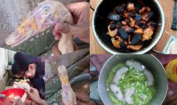 Chuyện những cô nàng vụng về nhất Vịnh Bắc Bộ