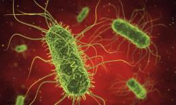 Không phải ung thư, đây mới là những căn bệnh giết chết nhiều phụ nữ nhất