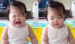 'Thánh đòi ăn' siêu đáng yêu 'đốn tim' dân mạng