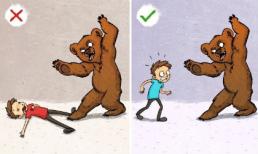 Những cách sinh tồn giúp bạn sống sót trong mọi hoàn cảnh