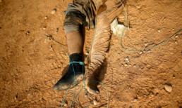 Cập nhật tin tức thế giới 7 ngày qua bằng ảnh (3 - 10/12)