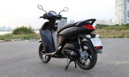 Cùng tươi mới đón Giáng sinh