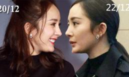 Chỉ trong 2 ngày, Dương Mịch bị chỉ trích 'te tua' vì chiếc cằm biến dạng