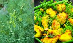 8 lợi ích sức khỏe khi ăn rau thì là