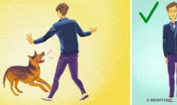 Phải làm gì khi đang bị chó dữ tấn công?