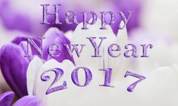 Những lời chúc tết  2017 hay và ý nghĩa dành tặng người thân và bạn bè