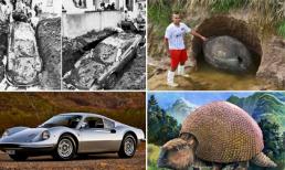 8 trường hợp đào được những báu vật không thể tin nổi ngay trong sân nhà