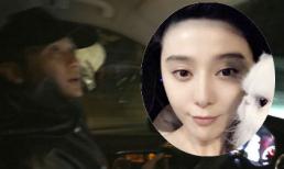 “Soái ca” Lý Thần lái xe đến đón Phạm Băng Băng đi làm về vào ngày 30 Tết 