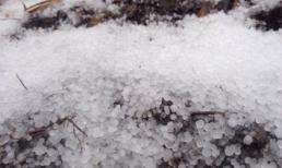 Mưa đá phủ kín mặt đất trên đỉnh Fansipan