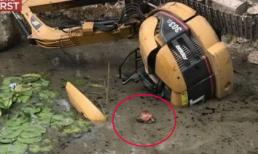 Người đàn ông sống sót sau 5 giờ trong bùn lầy ngập nhờ hở mũi và mắt 