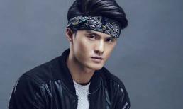 Lâm Vinh Hải: 'Ăn không được phá cho hôi'