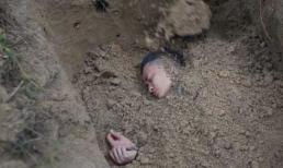 Vì sao cảnh Lương Mạnh Hải bị chôn sống không xuất hiện trong 'Hot boy nổi loạn 2'?