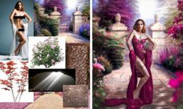 Sự thật ngỡ ngàng sau những bức ảnh đẹp như mơ