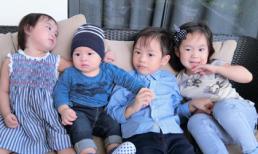 Ngắm 4 nhóc tỳ xinh xắn như thiên thần nhà Lý Hải