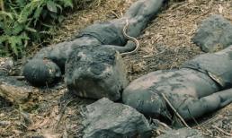 Quốc Thiên bị trọng thương khi 'tuyên chiến' với rắn