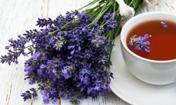 10 loại cây chữa bách bệnh sẽ bảo vệ cả gia đình bạn