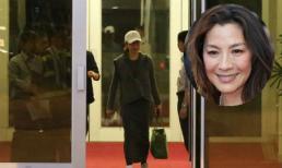 Sao 'Ngọa hổ tàng long' Dương Tử Quỳnh tới Việt Nam 