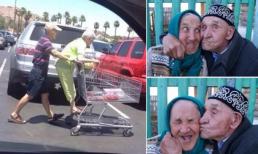 Những hình ảnh chứng minh tình yêu đích thực không bao giờ chết