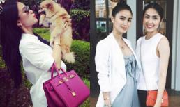 Cuộc sống sang chảnh của vợ thượng nghị sĩ Philippines - bạn thân Hà Tăng