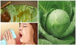 Ho và viêm phế quản sẽ biến mất nhờ 2 nguyên liệu hoàn toàn tự nhiên dễ kiếm, dễ làm