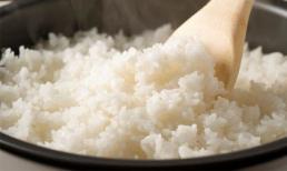 Khoa học chứng minh: Ăn nhiều cơm trắng có tỉ lệ tử vong tương đương bị nhiễm HIV