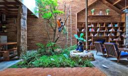 Ngôi nhà 120m có cây xanh trong nhà khiến ai xem cũng trầm trồ