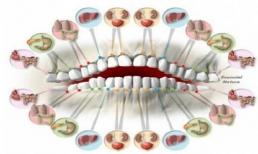 Điểm mặt các vị trí đau răng cảnh báo bệnh nguy hiểm bạn chớ bỏ qua