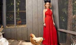 Cuộc sống nuôi gà của ngôi sao danh tiếng Nicole Richie khiến nhiều người bất ngờ