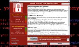 Một con virus máy tính khủng khiếp chưa từng có đang tấn công cả thế giới, máy tính của bạn cũng có thể là nạn nhân