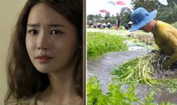 Hớt hải lo đám tang cho chồng còn mẹ chồng tôi vẫn cặm cụi cấy hết luống rau cho đến một ngày sự thật sáng tỏ 