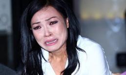 Ca sĩ Phương Thanh bị mất hết giấy tờ đúng ngày sinh nhật