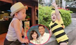 Bẵng đi một thời gian, con trai Ly Kute đã lớn và đáng yêu thế này