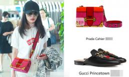 Dương Mịch không dát hàng hiệu không ra đường