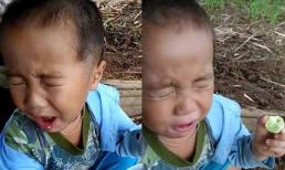 Đố bạn có thể không nuốt nước miếng khi xem em bé đáng yêu này ăn chanh