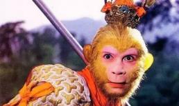 Vì sao Tôn Ngộ Không lại chọn tai là nơi giấu gậy như ý?