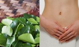 Chữa dứt điểm viêm ngứa vùng kín hiệu quả không ngờ từ lá chanh
