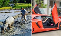 Về ra mắt nói dối nhà làm ruộng tôi bị khinh ra mặt, cho đến khi gặp lại em đã phải sáng mắt ân hận 