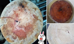 Sử dụng thớt mốc rất dễ gây ung thư và đây là cách làm sạch thớt gỗ đơn giản an toàn