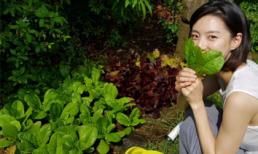 Vườn rau sạch trong biệt thự triệu đô của vợ chồng Bae Yong Joon