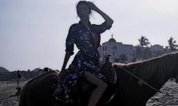 Ngọc Quyên khoe vẻ đẹp vừa gợi cảm, vừa hoang dại trước biển